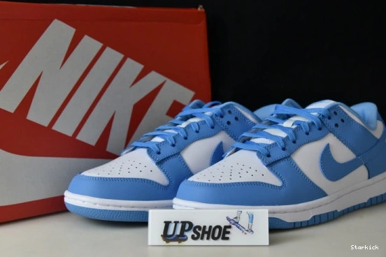 University Low DD1391-102 Dunk Nike Blue 1001